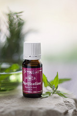 Purification Clean Naturally With Purification Essential Oil